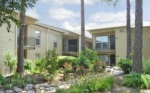 The Abbey at Briar Forest
